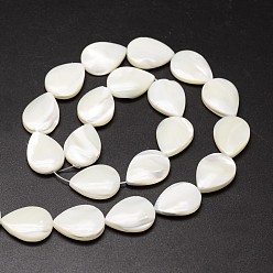 Creamy White Natural Trochid Shell/Trochus Shell Beads Strands, teardrop, Creamy White, 17~18x13x4mm, Hole: 1mm, about 23pcs/strand, 15.75 inch