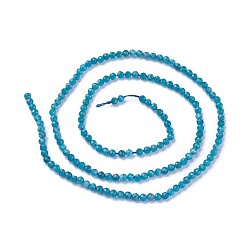 Dark Cyan Natural Apatite Beads Strands, Faceted, Round, Dark Cyan, 2~2.5mm, Hole: 0.5mm, about 180~200pcs/strand, 14.5~16.1 inch(37~41cm)