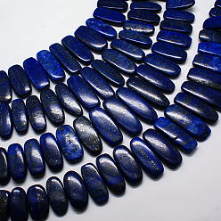 Lapis Lazuli Natural Gemstone Pendants Lapis Lazuli Graduated Beads Strands, Dark Blue, 20~45x14~23x5~10mm, Hole: 1mm, about 15.7 inch