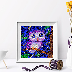 Owl DIY Square Animal Diamond Painting Kits, Including Frame, Resin Rhinestones, Diamond Sticky Pen, Tray Plate and Glue Clay, Owl Pattern, 185x185mm