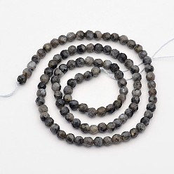 Larvikite Faceted Round Natural Larvikite Beads Strands, 4mm, Hole: 1mm, about 90pcs/strand, 15.35 inch