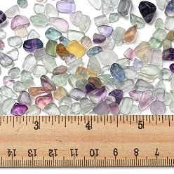 Fluorite Natural Fluorite Chip Beads, No Hole/Undrilled, 5~10.5x5~7x2~4mm