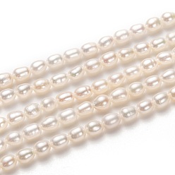 Blanc Brins de perles de culture d'eau douce naturelles, riz, blanc, 5x4mm, Trou: 0.5mm, Environ 70 pcs/chapelet, 14.57 pouce (37 cm)