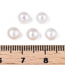 Seashell Color Half Drilled Natural Cultured Freshwater Pearl Beads, Half Round, Seashell Color, 5~6x4~4.5mm, Hole: 1mm