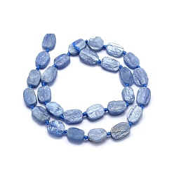 Cyanite Brins de cyanite naturelle / cyanite / perles de disthène, perles de dalle plate, nuggets, givré, 8~23x6~13x3~6mm, Trou: 1mm, Environ 19 pcs/chapelet, 15.3 pouce (39 cm)