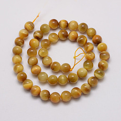 Gold Natural Tiger Eye Bead Strands, Round, Dyed & Heated, Gold, 10mm, Hole: 1.2mm, about 38pcs/strand, 14.9 inch~15.5 inch