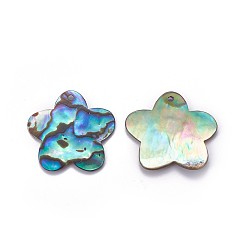 Paua Shell Abalone Shell/Paua Shell Pendants, Flower, 23.5~24x24~25x1~2mm, Hole: 1.4~1.5mm