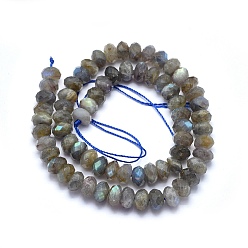 Labradorite Natural Labradorite Beads Strands, Rondelle, Faceted, 9~10x6mm, Hole: 1mm, about 64pcs/strand, 15.7 inch(40cm)