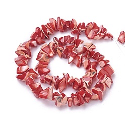 Mixed Color Freshwater Shell Beads Strands, Chip, Dyed, Mixed Color, 4~15x3~17mm, Hole: 0.8mm, about 14.57 inch(37cm)