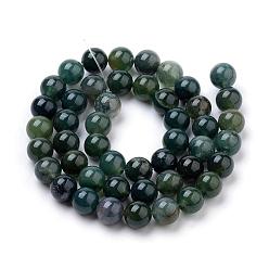 Moss Agate Natural Moss Agate Beads Strands, Round, 10mm, Hole: 1mm, about 37pcs/strand,  14.76 inch(37.5cm)