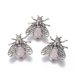 Rose Quartz Natural Rose Quartz Brooches, with Brass Findings, Cicada, Antique Silver, 38x36x8mm, Pin: 0.6mm