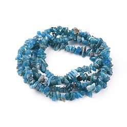 Apatite Natural Apatite Beads Strands, Chip, Deep Sky Blue, 5~13x3~8mm, Hole: 0.6mm, 33~33.4 inch(84~85cm)