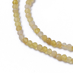 Yellow Opal Natural Yellow Opal Beads Beads Strands, Faceted, Round, 2~2.5x2mm, Hole: 0.2mm, about 158~205pcs/strand, 15.7~16.7 inch(40~42.5cm)