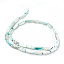 Turquoise Chapelets de perles en coquille eau douce , teint, rectangle, turquoise, 14~15x5~8x2~6mm, Trou: 0.6mm, Environ 28~30 pcs/chapelet, 16.1 pouce (41 cm)