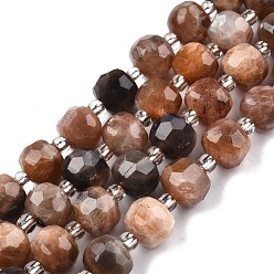 Pierre De Soleil Brins de perles de sunstone noirs naturels, avec des perles de rocaille, facette, rondelle, 8x6mm, Trou: 1mm, Environ 20~22 pcs/chapelet, 7.09 pouce (18 cm)