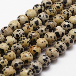 Dalmatian Jasper Natural Dalmatian Jasper Beads Strands, Faceted, Round, 8mm, Hole: 1mm, about 44pcs/strand, 14.9 inch~15.1 inch