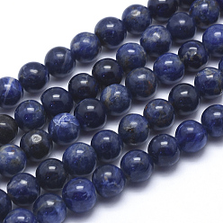 Sodalite Sodalites naturelles brins de perles, ronde, 10mm, Trou: 1mm, Environ 42 pcs/chapelet, 15.5 pouce (39.5 cm)