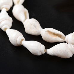 Other Sea Shell Natural Sea Shell Conch Bead Strands, 5.5~12.5mm, Hole: 1~2mm, about 135~145pcs/strand, 54~58.3 inch