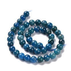 Apatite Natural Apatite Beads Strands, Round, 8mm, Hole: 1mm, about 50pcs/strand, 15.7 inch