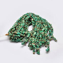 Светлый Морско-зеленый Натуральные имперские нитки из бисера яшмы, самородки, окрашенные, светло-зеленый, 8~16x4~10 мм, отверстие : 1 мм, о 15.7 дюйме