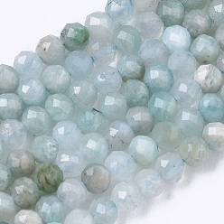 Flower Amazonite Natural Flower Amazonite Beads Strands, Round, Faceted, 2mm, Hole: 0.7mm, about 155pcs/strand, 15.75 inch(40cm)