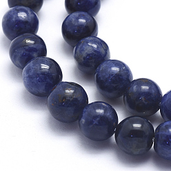 Sodalite Sodalites naturelles brins de perles, ronde, 10mm, Trou: 1mm, Environ 42 pcs/chapelet, 15.5 pouce (39.5 cm)