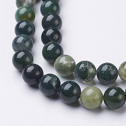 Moss Agate Natural Moss Agate Beads Strands, Round, about 8mm in diameter, hole:  1mm, about 51pcs/strand