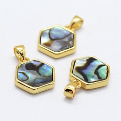 Other Sea Shell Abalone Shell/Paua ShellCharms, with Brass Findings, Hexagon, Golden, 12.5~13.5x12~12.5x2~2.5mm, Hole: 2.5x3~3.5mm