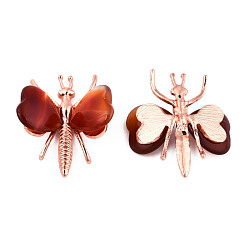 Red Agate Natural Carnelian Display Decorations, with Rose Gold Color Alloy Findings, Dragonfly, 44x36~39x12mm