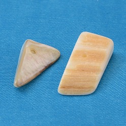 Creamy White Natural Freshwater Shell Chips Beads, Shell Shards, Dyed, Creamy White, 8~17x5~7x4~6mm, Hole: 1mm, about 640pcs/500g