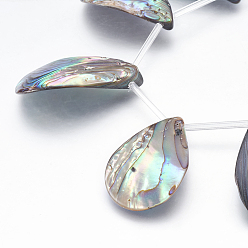 Paua Shell Natural Abalone Shell/Paua Shell Beads Strands, Top Drilled Beads, Teardrop, 35~39x19~23x3~6mm, Hole: 0.5mm, about 10pcs/strand, 8.46 inch(21.5cm)