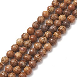 Picture Jasper Natural Picture Jasper Round Bead Strands, 8mm, Hole: 1mm, about 49pcs/strand, 15.7 inch