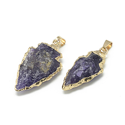 Amethyst Natural Amethyst Pendants, with Brass Findings, Golden, 25~50x15~25x5~15mm, Hole: 7x4mm