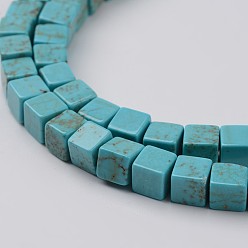 Dark Turquoise Natural Magnesite Bead Strands, Dyed & Heated, Cube, Dark Turquoise, 6~6.5x6~6.5x6~6.5mm, Hole: 1mm, about 67pcs/strand, 15.9 inch