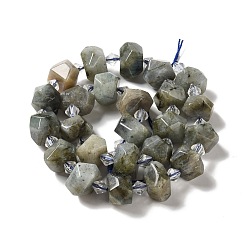 Labradorite Natural Labradorite Beads Strands, Chip, 14~16x12~14x8~10mm, Hole: 1mm, about 24pcs/strand, 14.76''(37.5cm)