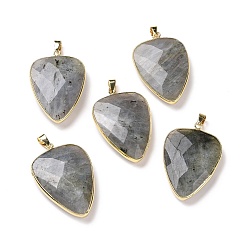 Labradorite Faceted Natural Labradorite Pendants, with Golden Tone Brass Findings, teardrop, 40x27x7~9mm, Hole: 4x5mm