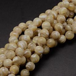 Other Sea Shell Natural Sea Shell Round Bead Strands, 8mm, Hole: 1mm, about 52pcs/strand, 15.7 inch