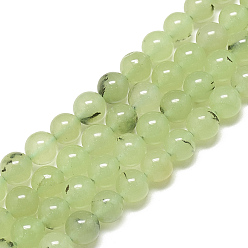 Prehnite Perles naturelles préhnite brins, teint, ronde, 10mm, Trou: 1mm, Environ 40 pcs/chapelet, 15.7 pouce