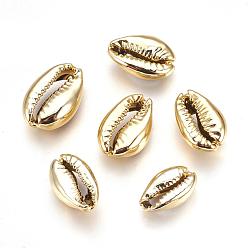Doré  Perles de coquille galvanisées, cauris, or, 15~20x10~12x5~6mm, Trou: 12~14x2~3mm
