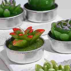 Green Cactus Paraffin Smokeless Candles, Artificial Succulents Decorative Candles, with Aluminium Containers, for Home Decoration, Green, 15.6x10.3x10.3cm, 12pcs/set