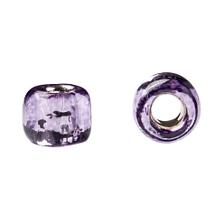 (2219) Silver Lined Light Grape Toho perles de rocaille rondes, perles de rocaille japonais, (2219) raisin clair doublé d'argent, 8/0, 3mm, Trou: 1mm, à propos 222pcs / bouteille, 10 g / bouteille