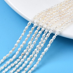 Seashell Color Natural Cultured Freshwater Pearl Beads Strands, Rice, Seashell Color, 3~3.5x2.5mm, Hole: 0.6mm, about 68~82pcs/strand, 13.78 inch~13.90 inch(35~35.3cm)