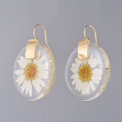 Golden Alloy Resin Dangle Earrings, with Dried Flower and Brass Hoop Earrings, Flat Round, Golden, 43.5x32x5mm, Pin: 0.7mm