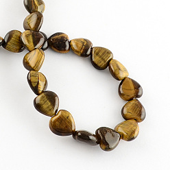 Coffee Natural Tiger Eye Bead Strands, Heart, Coffee, 10x10x5mm, Hole: 1mm, about 40pcs/strand, 15.3 inch