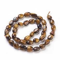 Tiger Eye Natural Tiger Eye Beads Strands, Tumbled Stone, Nuggets, 6~12x6~8mm, Hole: 0.5mm, about 40pcs/strand, 15.7 inch(40cm)