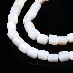 Freshwater Shell Natural Freshwater Shell Beads Strands, Column, 3.5x3.5mm, Hole: 0.8mm, about 111~112pcs/strand, 14.76 inch~14.96 inch(37.5~38cm)