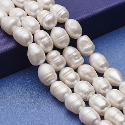 Blanc Brins de perles de culture d'eau douce naturelles, pomme de terre, blanc, 8~14x8~10mm, Trou: 0.5mm, Environ 31~32 pcs/chapelet, 13.77~13.89 pouce (35~35.3 cm)