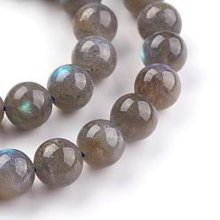 Labradorite Grade AA Natural Gemstone Labradorite Round Beads Strands, 8mm, Hole: 1mm, about 48pcs/strand, 15.5 inch