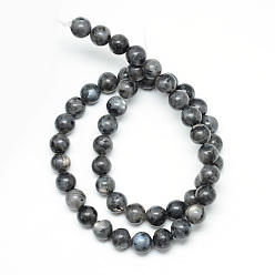 Larvikite Natural Larvikite Beads Strands, Round, 8~9mm, Hole: 1mm, about 46pcs/strand, 15.3 inch