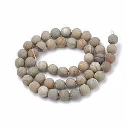 Silver Leaf Jasper Natural Silver Leaf Jasper Beads Strands, Frosted, Round, 4mm, Hole: 1mm, about 96pcs/strand, 15.5 inch